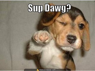 sup-dawg-.jpg