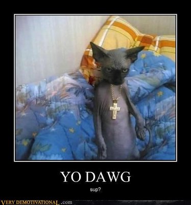 demotivational-posters-yo-dawg1.jpg