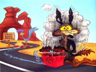 coyote.jpg