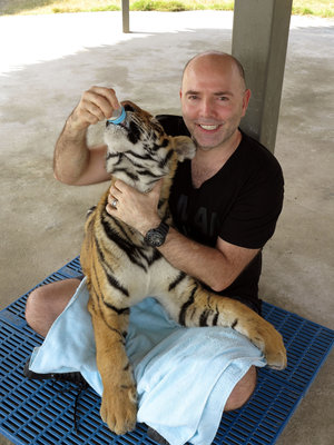 Young-tiger.jpg