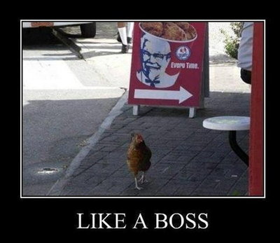 like-a-boss-63.jpg