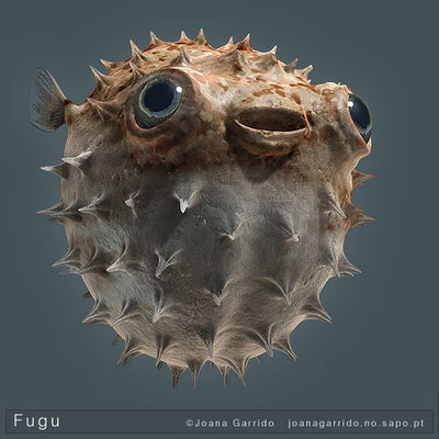 fugu-moonfish.jpg