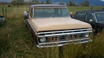 75 ford 460 2.jpg