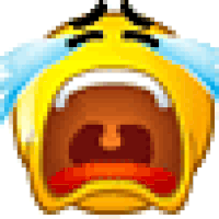 1lg028wailing.gif~c200.gif