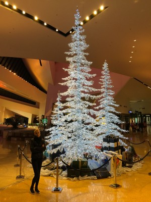 Christmas-trees.jpg