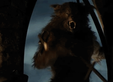 DTC.gif