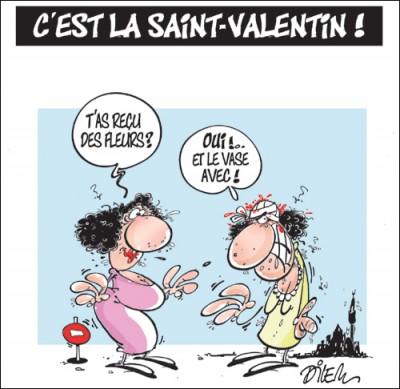 saint-valentin-humour-drolefleur-vase.jpg