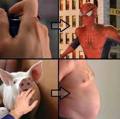 image.jpeg