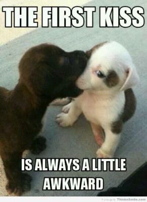 first_kiss_puppies.jpg