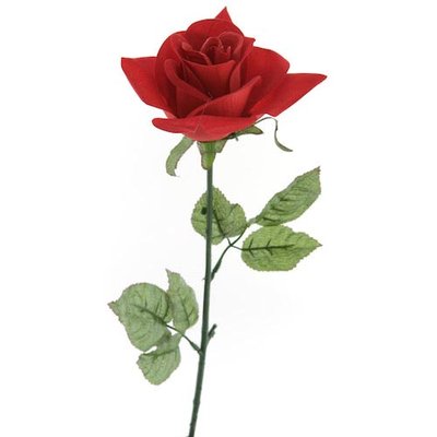 single-red-rose.jpg