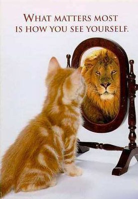 funny-cat-lion-picture.jpg