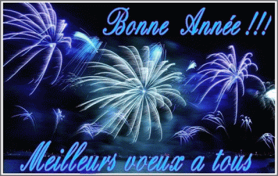 Bonne année à tous.gif