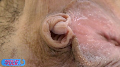 LAURE-ZECCHI---WUNF-300-clitoris.jpg