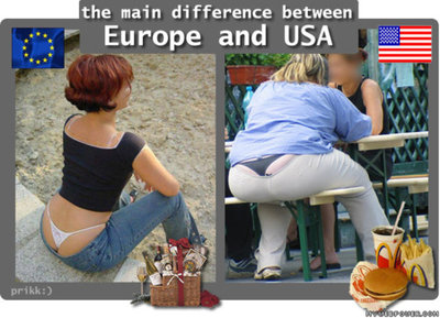 the_difference_between_euro.jpg