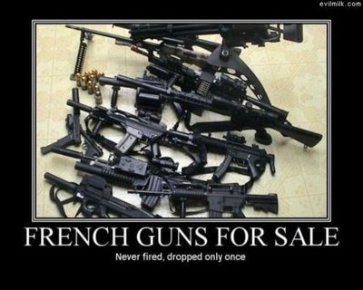 1738french-guns-never-fired.jpg