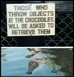 crocodile_trespasser.jpg