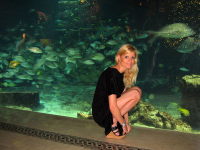 Aquarium.JPG