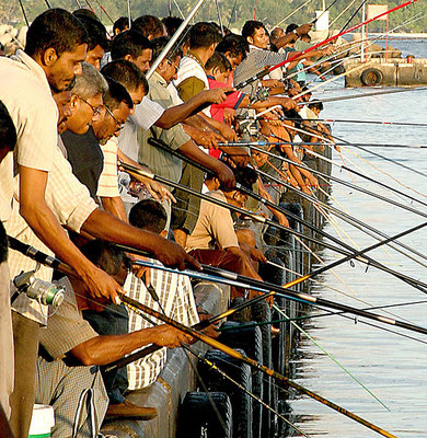 crowded_fishing.jpg