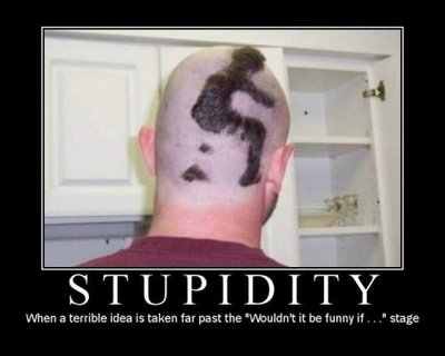 stupidity15.jpg