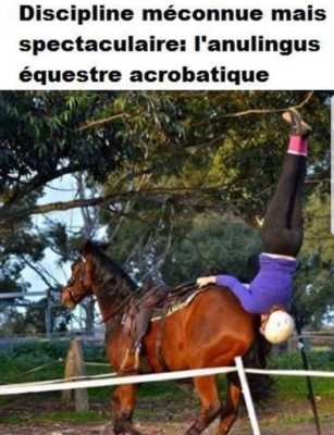 cheval_humour.jpg