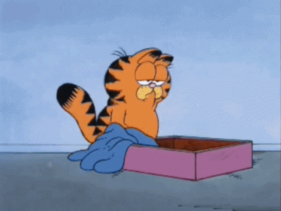 tumblr_mdprpiIepG1rdlqhfo1_500.gif