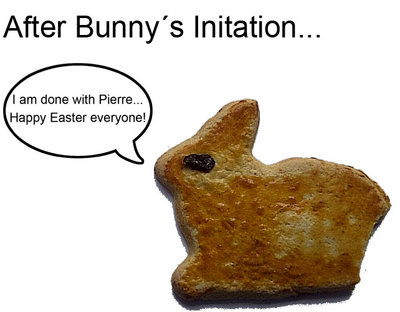 wcx_bunny.jpg