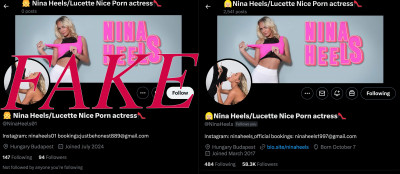 Twitter-Nina.jpg