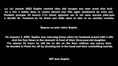 Disclaimer-Sophie-Roche.jpg