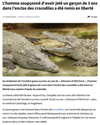 croco 2.png