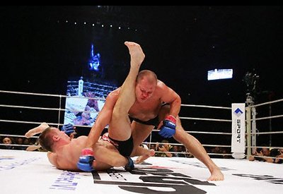 crocop vs fedor.jpg