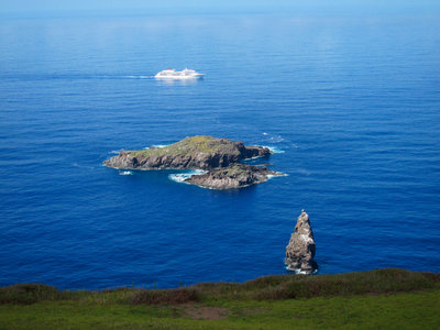 Cruise-boat.jpg