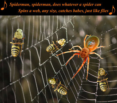 Spiderman.jpg